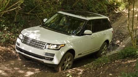 Range Rover driving in the woods